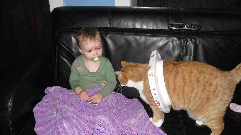 IMG_0680.JPG - Poor kitty....