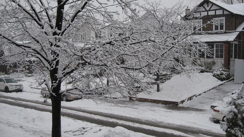 IMG_0935.JPG - New Years Day snow