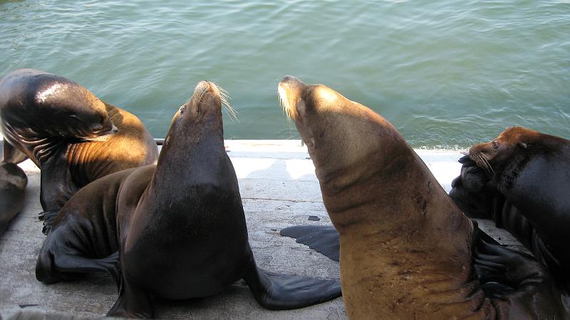 IMG_0443.JPG - Ow Ow Ow Ow