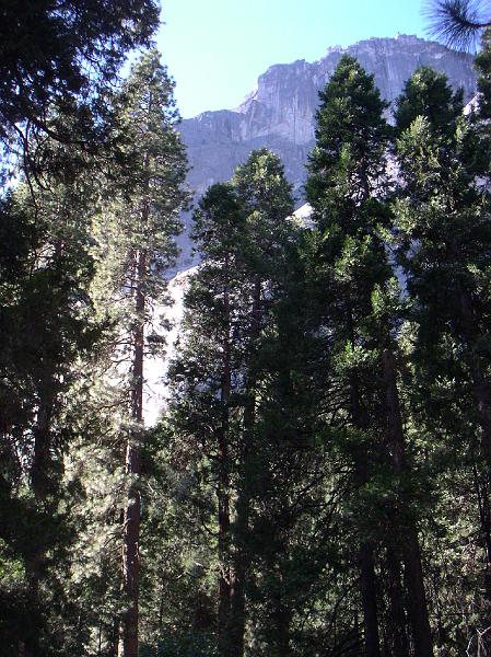 PICT0086.JPG