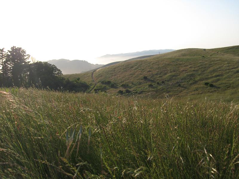 IMG_0026.JPG - Russian ridge