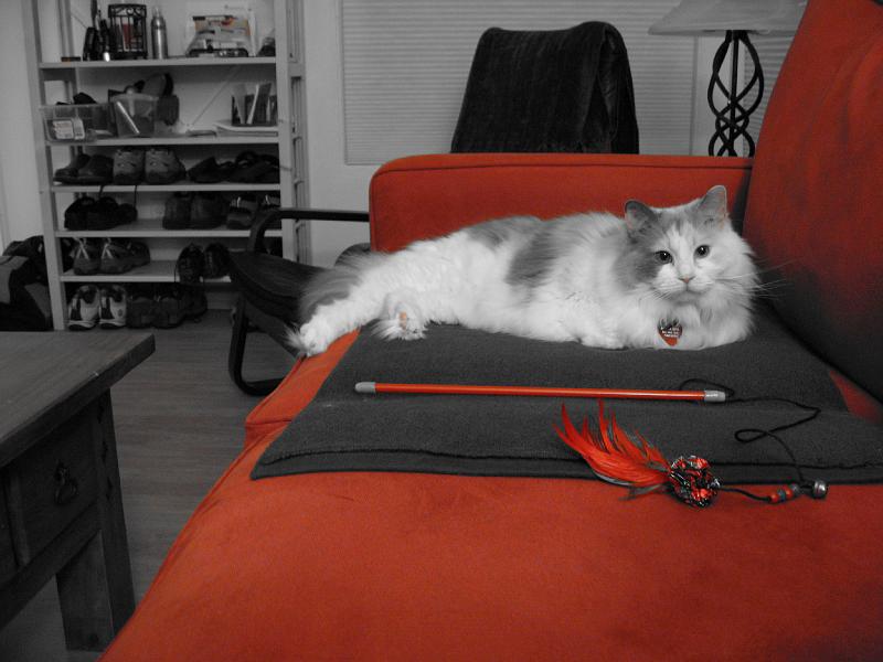 Katy_1.jpg - Katy love the new sofa